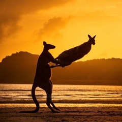 生野区で週1回格闘技のジムを無料開放しています。の画像