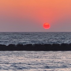 山梨キャンプ