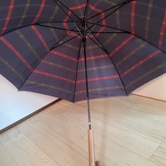 傘☂️の画像