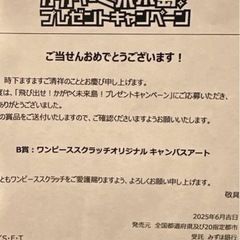 450名　限定品　ONEPIECE　キャンパスアートの画像