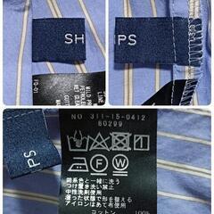 【美品】SHIPS シップス ストライプ ボウタイブラウス ゆったり パープル レディースの画像