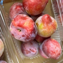 すもも500gの画像