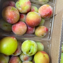 プラム500gの画像