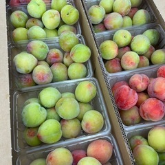 プラム500gの画像