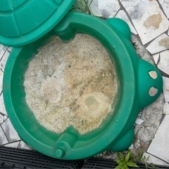砂場 カメ🐢の画像