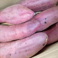 紅はるか　1本200円②