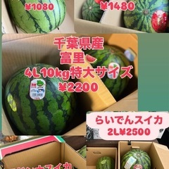 北海道産らいでんスイカ🍉小玉マダーボール¥1080〜取扱豊富です✨の画像