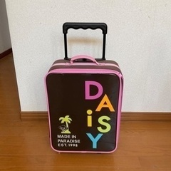りゅうちんさんに決まりました。たまごっちカップと女の子キャリーケース