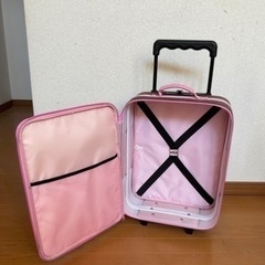 りゅうちんさんに決まりました。たまごっちカップと女の子キャリーケースの画像
