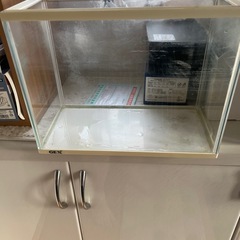 水槽2個の画像