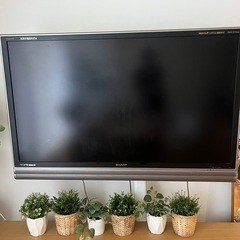 52インチ大型テレビ！シャープAQUOS LC-52EX5 (佐藤) 一橋学園の
