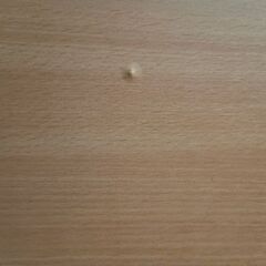 パソコンデスクの画像