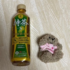 ハワイアンベアー　ぬいぐるみ　マスコット　人気の画像