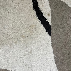 ニトリ　ラグ　カーペットの画像