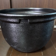 メダカ、オシャレ器