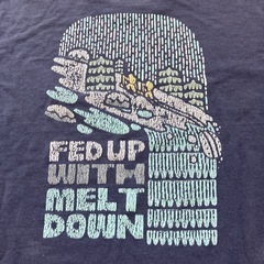 パタゴニア　tシャツの画像