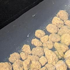 MIXメダカ　黒ラメ系の画像
