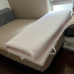 トゥルースリーパーWサイズマットレスのみ
の画像
