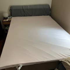 トゥルースリーパーWサイズマットレスのみ
の画像