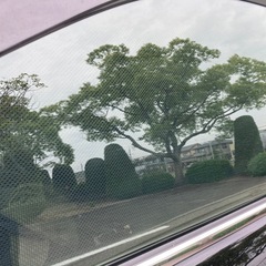 210系 クラウン サンシェードの画像