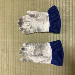 グローブ　使用品の画像