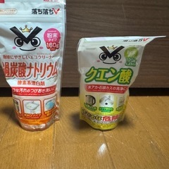 新品　ダイソー　過炭酸ナトリウム　クエン酸　粉末タイプ　酸素系漂白剤　掃除の画像