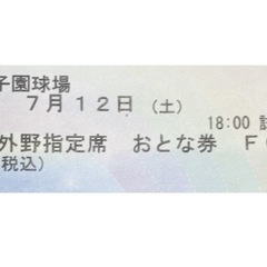 7月12日(土)甲子園　阪神タイガースvsヤクルト　レフト外野1枚