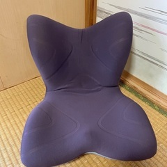 Style Premium 座り姿勢 サポートチェア