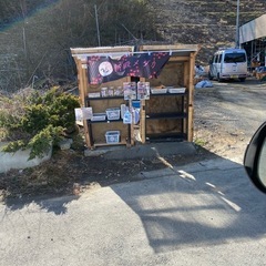 メダカ販売