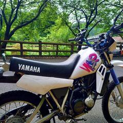DT50