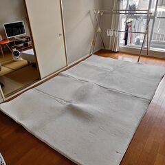 絨毯　リビング