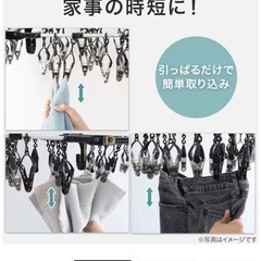 ニトリ 簡単取り込みアルミハンガー(ダークグレー 40ピンチ)の画像