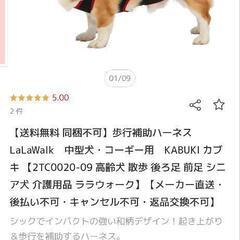 歩行補助ハーネス LaLaWalk の画像