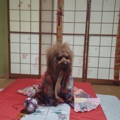 仕事をやめたいと考えているそこのあなたの画像
