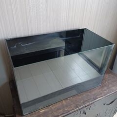 【商談中】shiturae collection EHEIM 500 50Hz Giassterior 60cm 水槽 setの画像
