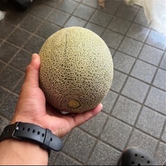 甘いメロンの画像