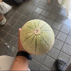 甘いメロンの画像