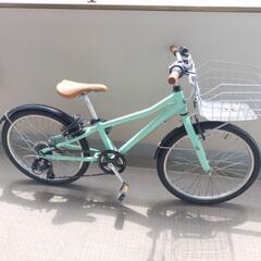 コーダブルーム　Asson 22インチ ミントグリーン Khod...