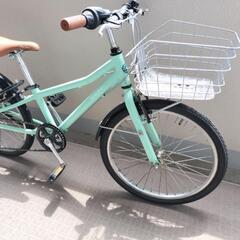 コーダブルーム　Asson 22インチ ミントグリーン KhodaaBloomの画像
