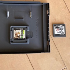 ニンテーンドー　DSLL  2台の画像