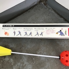 キレダスの画像