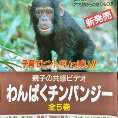 【レア・未使用】わんぱくチンパンジー VHS 全5巻セットの画像