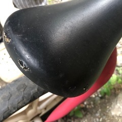 キックバイク・バランスバイクの画像