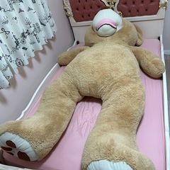 くまのぬいぐるみの画像