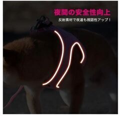 リードハーネスセット  色 ピンク  サイズMの画像