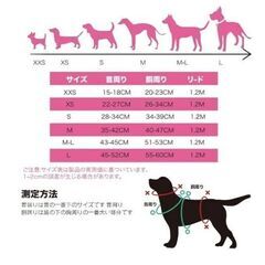 リードハーネスセット  色 ピンク  サイズMの画像