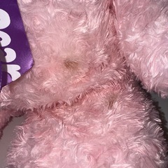 ぬいぐるみの画像