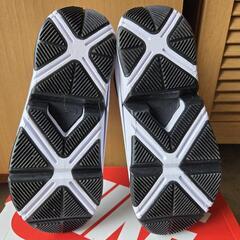 【値下げ】ナイキ シューズ24.5cmの画像
