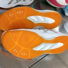 0705-038 ASICS　バレーボールシューズ　24.5cmの画像