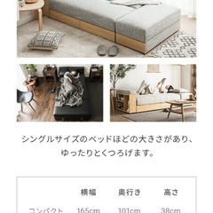 【決定済み】収納付きソファベッドの画像
